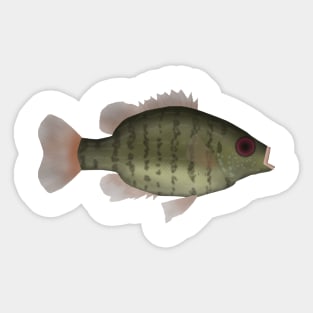 Bantam Sunfish Sticker